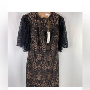 Dress the Population Elegant Black Lace Dress